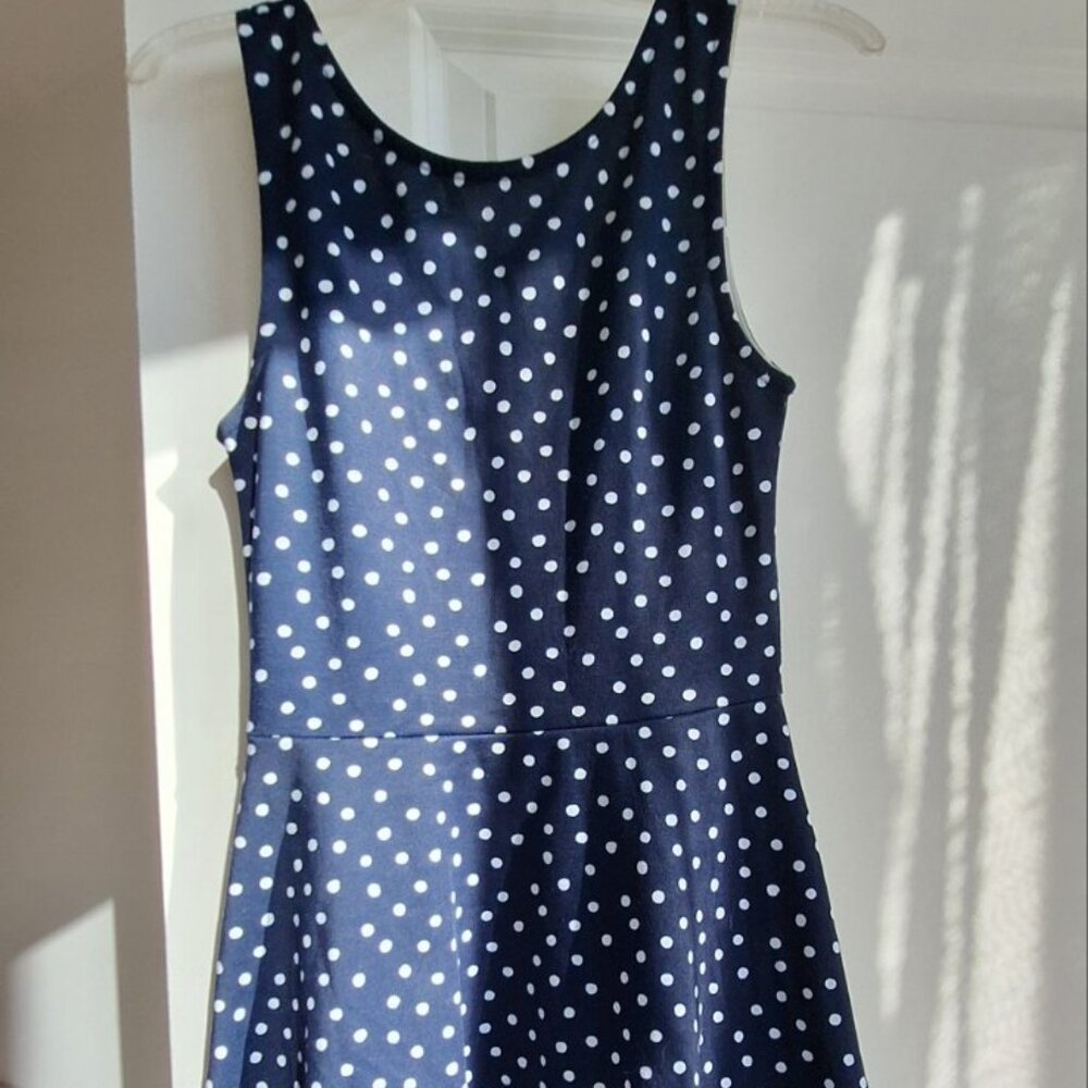 H&M Skater Dress